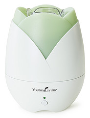 Namų difuzorius (Home Diffuser)