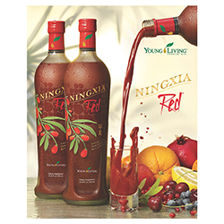 NingXia Red™ Leaflet - Lankstinukas