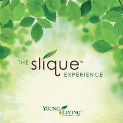 Slique Kit Brochure-lanksitnukai (25 vnt.)