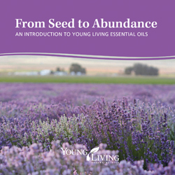 From Sead to Abundance - DVD diskas