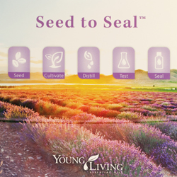 Sead to Seal - DVD diskas