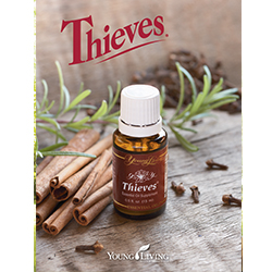 Thieves -lankstinukai (25 vnt.)